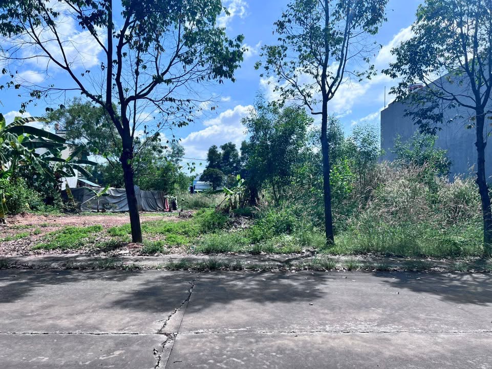 Đất nền 150m² đường N16, phường Thới Hòa - Giá chỉ 1.6 tỷ - Cơ hội đầu tư lý tưởng!