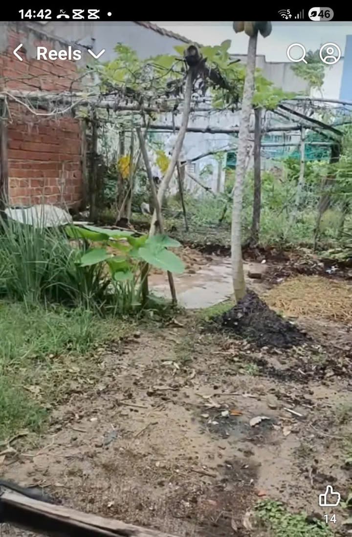 Đất nền Phước Hiệp 83m² giá 300 triệu - Cơ hội đầu tư tốt!