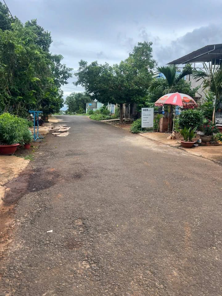 Đất mặt tiền Nguyễn Thượng Hiền, Pleiku 150m² - Giá chỉ 1 tỷ!