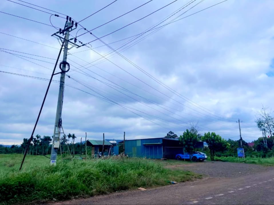 Đất nền Đắk Pơ 1980m² - Vị trí đắc địa, giá thương lượng hấp dẫn!