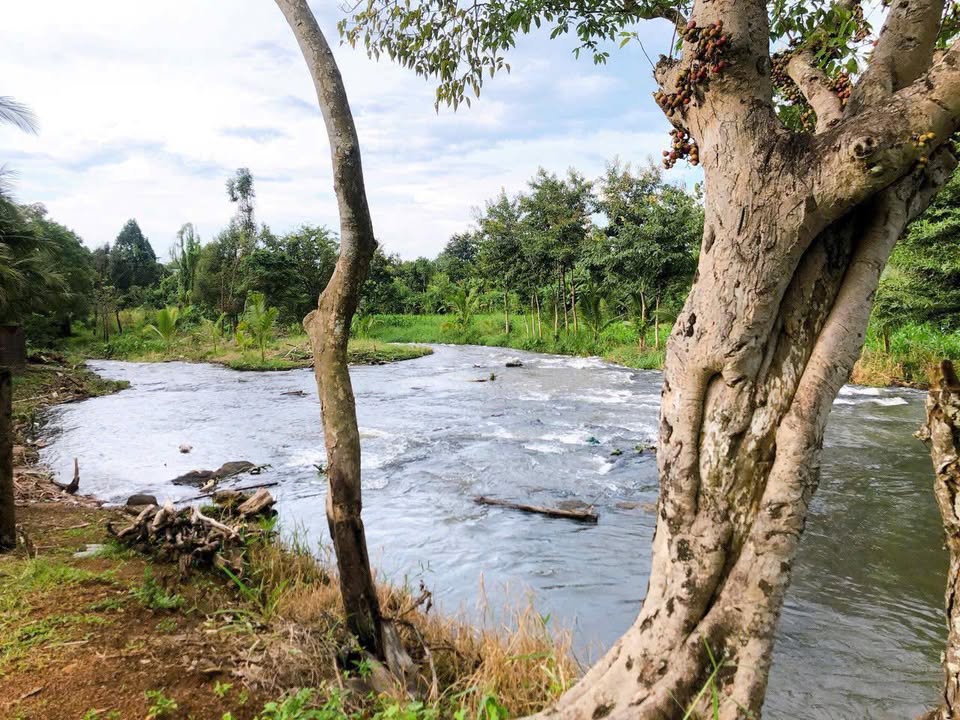 Đất nền nghỉ dưỡng mặt suối Phường Khánh Xuân 585m² giá 2.55 tỷ - Cơ hội đầu tư tuyệt vời!