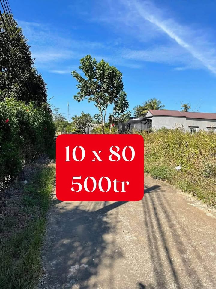 Đất nền xã Tân Phú 800m² giá 500 triệu - Sổ hồng chính chủ