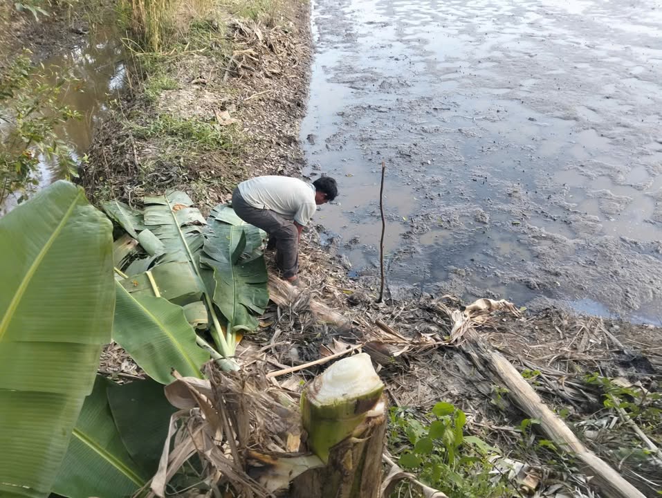 Đất ruộng phường Mỹ Trà, Sa Đéc 2650m² giá 1.5 tỷ - Đầu tư sinh lời ngay!