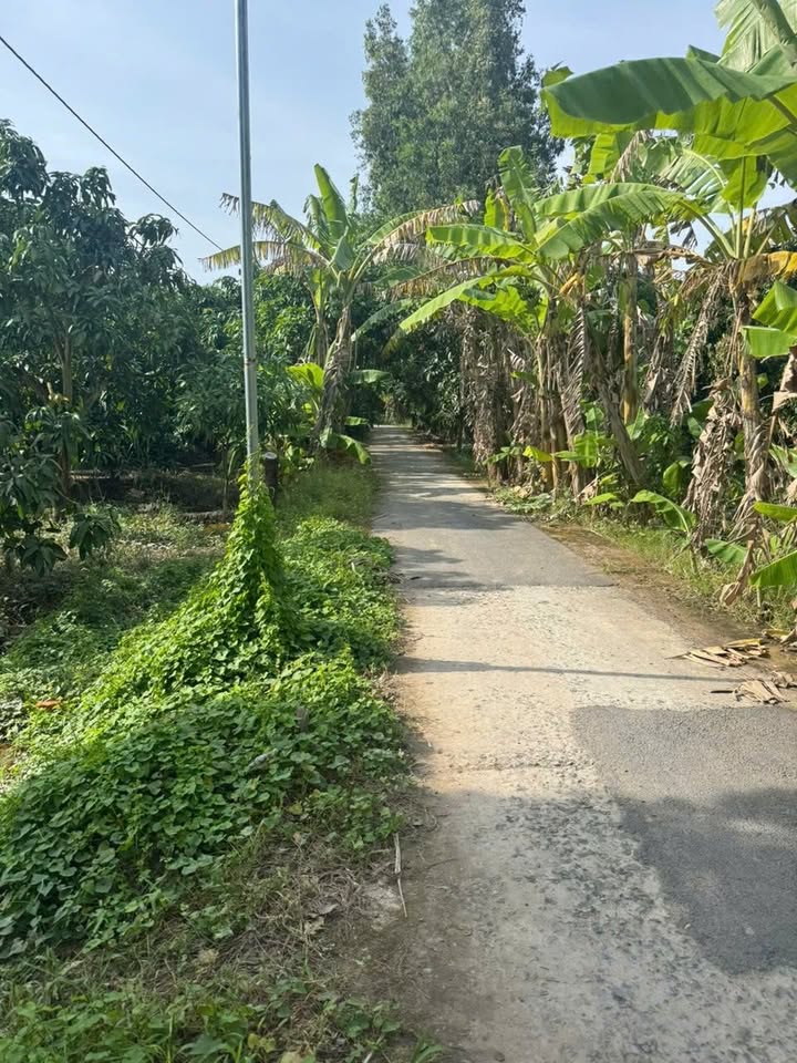 Đất nền Tân Thuận Tây, Cao Lãnh 900m² - Cơ hội đầu tư tuyệt vời!