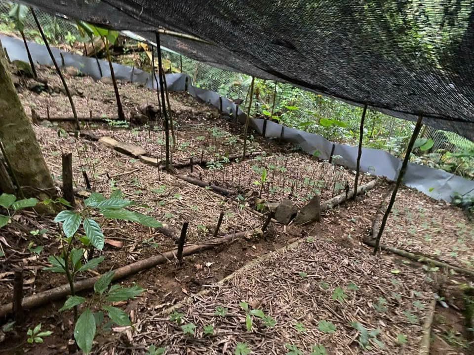 Đất nền đường Liên Khu 4-5, Bình Tân 60m² giá chỉ 700 triệu - Cơ hội đầu tư hấp dẫn!