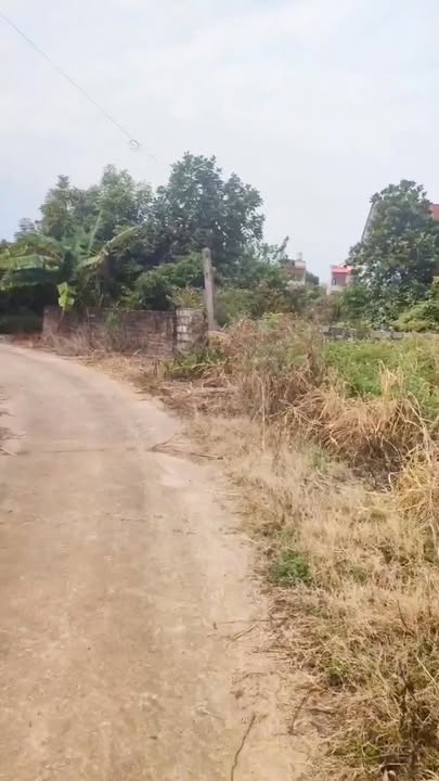 Đất nền Đông Hưng Lục Nam 165m² giá thỏa thuận - Sổ đỏ chính chủ sang tên ngay!