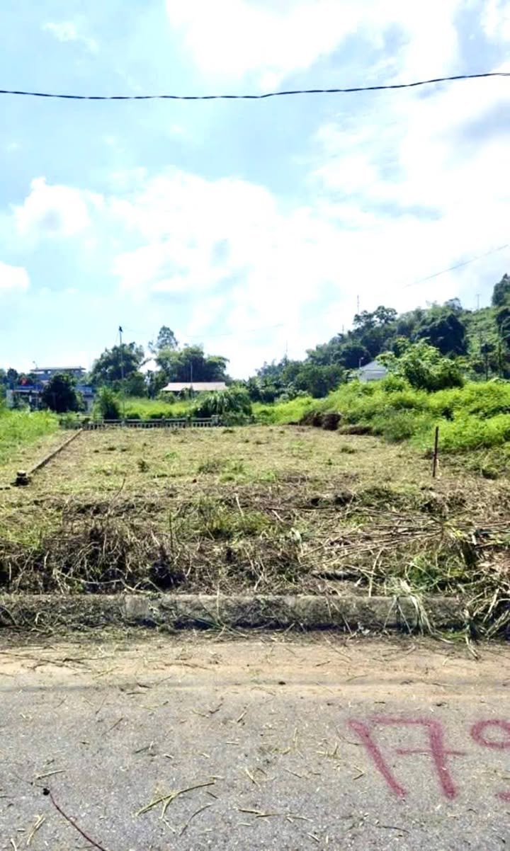 Đất nở hậu Cam Đường 133m² giá 2.56 tỷ - Chính chủ, giao dịch nhanh gọn!