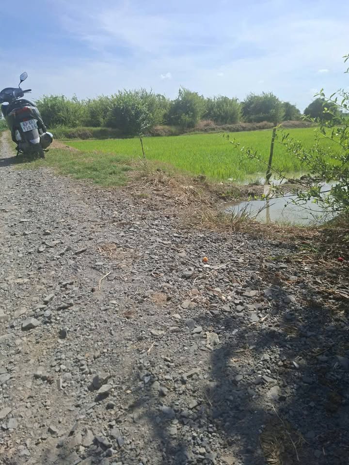 Đất Ruộng Ấp Bồ Đề, Gò Công Đông 2600m² giá 570 triệu - Cơ hội đầu tư hấp dẫn!