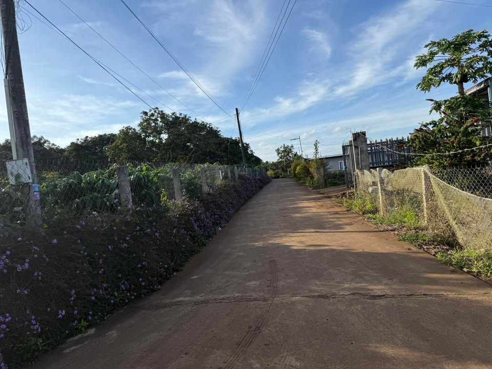 Đất nền xã Bình Thạnh, Đức Trọng 5000m² giá 870 triệu - Cơ hội đầu tư hấp dẫn!