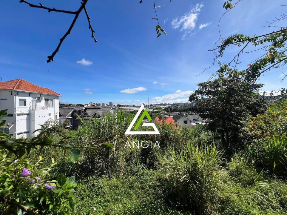 Đất 2 mặt tiền Hùng Vương Đà Lạt 505m² giá 36 tỷ - Cơ hội đầu tư sinh lời