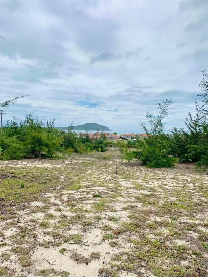 Đất nền biển Cù Lao Mái Nhà 6000m² giá chỉ 500k/m² - Sổ đỏ chính chủ!