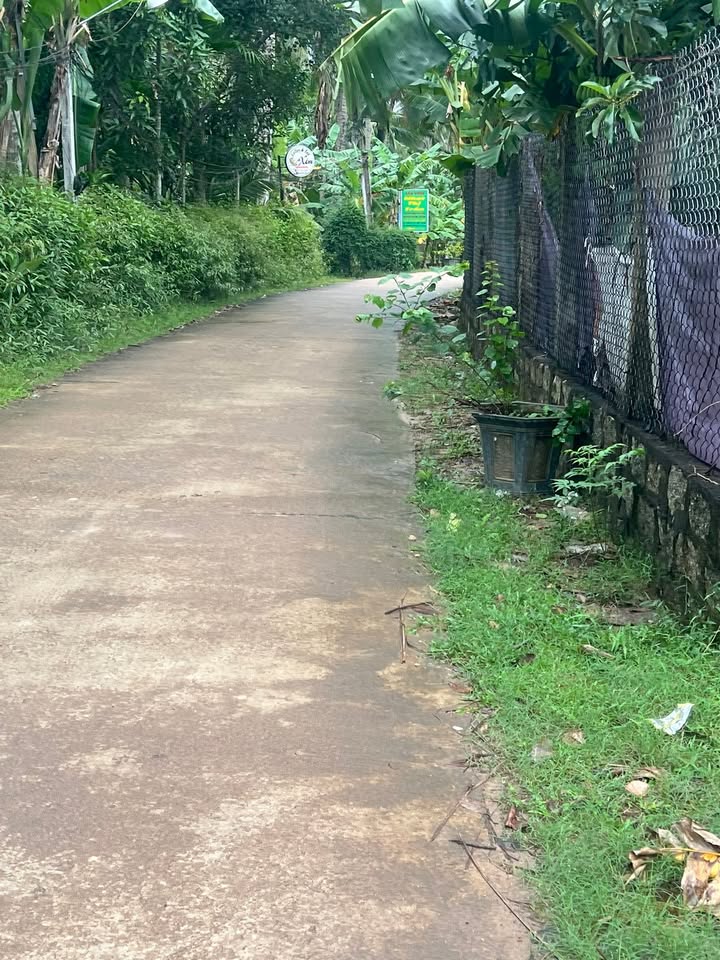 Đất nền tại khu phố 2, phường Tam Quan, 130m² giá 695 triệu - Cơ hội đầu tư hấp dẫn!