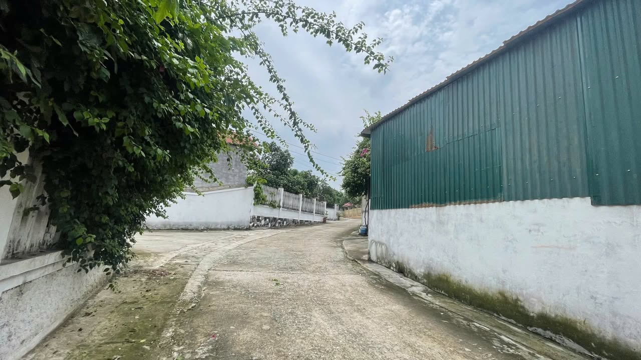 Đất nền Phú Ninh, Thanh Vân, Tam Dương 120m² - Cơ hội đầu tư sinh lời tốt!