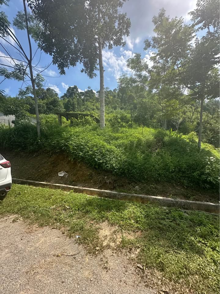 Bán đất nông nghiệp Đổng Xá Na Rì 500m² giá 999 triệu - Cơ hội đầu tư hấp dẫn!