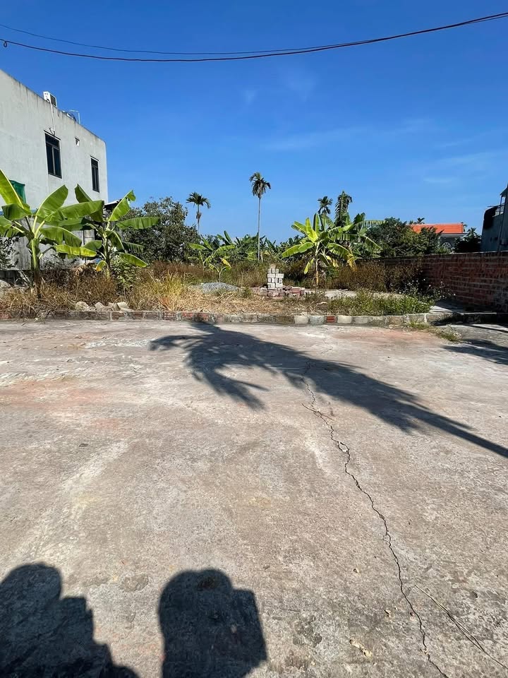 Đất Kênh Giang Thủy Nguyên 89m² giá chỉ từ 800 triệu - Ô tô vào tận nơi!