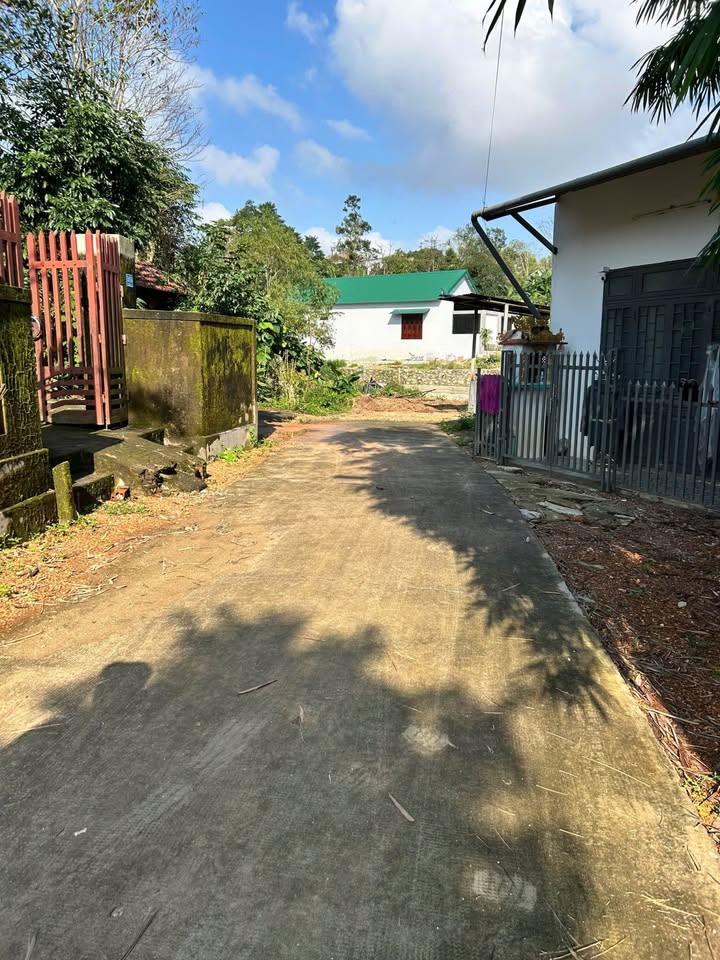 Nhà cấp 4 Hương Thủy 226m² giá 2.3 tỷ - Nở hậu, ô tô tận đất!