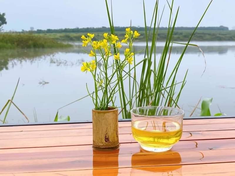 Bán đất mặt phố Long Biên 500m² - Vị trí đắc địa, tiềm năng sinh lời cao!