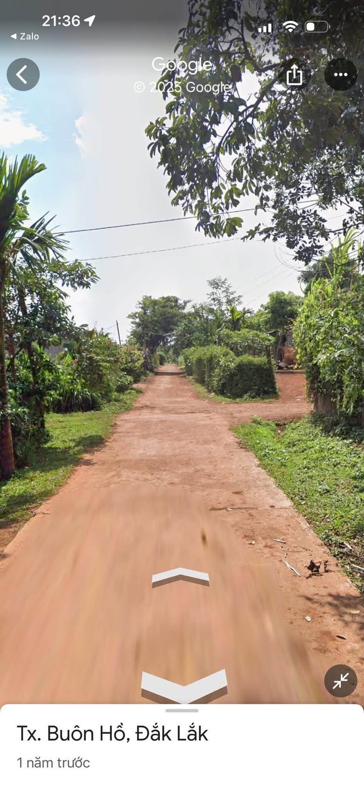 Đất nền Cư Bao 300m² giá 780 triệu - Đầu tư sinh lời ngay!