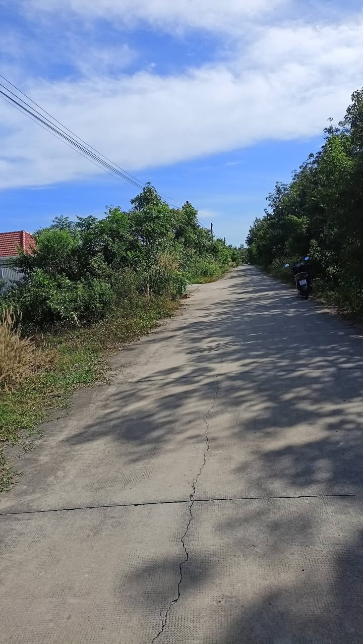 Đất nền 270m² khu phố 5, Thị trấn Phước Vĩnh - Sổ riêng, giá 800 triệu VND