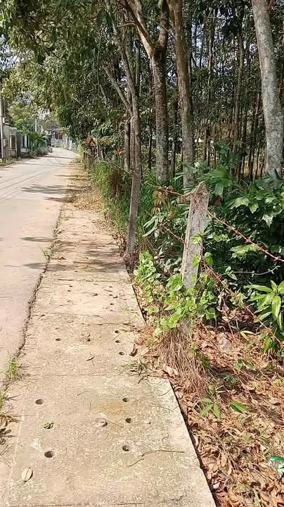 Đất nền An Điền 115m² giá thỏa thuận - Sổ đỏ chính chủ, đầu tư sinh lời!