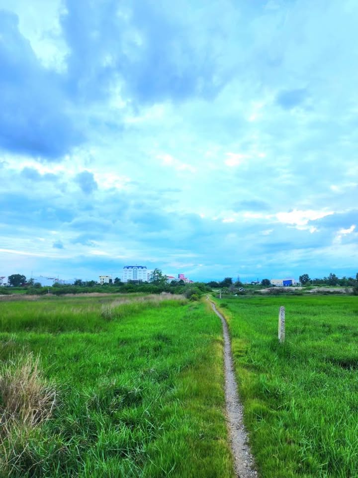 Đất nền 1000m² tại Bắc Xuân An, Phan Thiết - Giá chỉ 850 triệu!