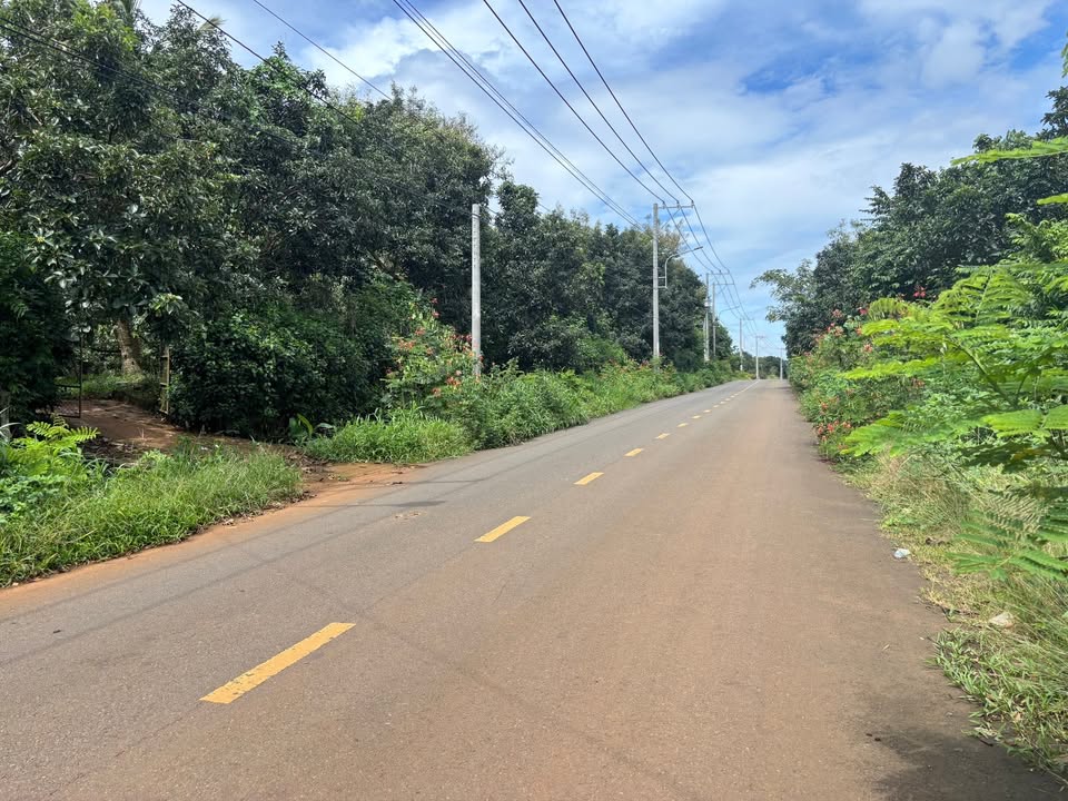 Đất vườn trái cây Cẩm Mỹ 9400m² giá chỉ 13.9 tỷ - Mặt tiền đường nhựa rộng rãi!