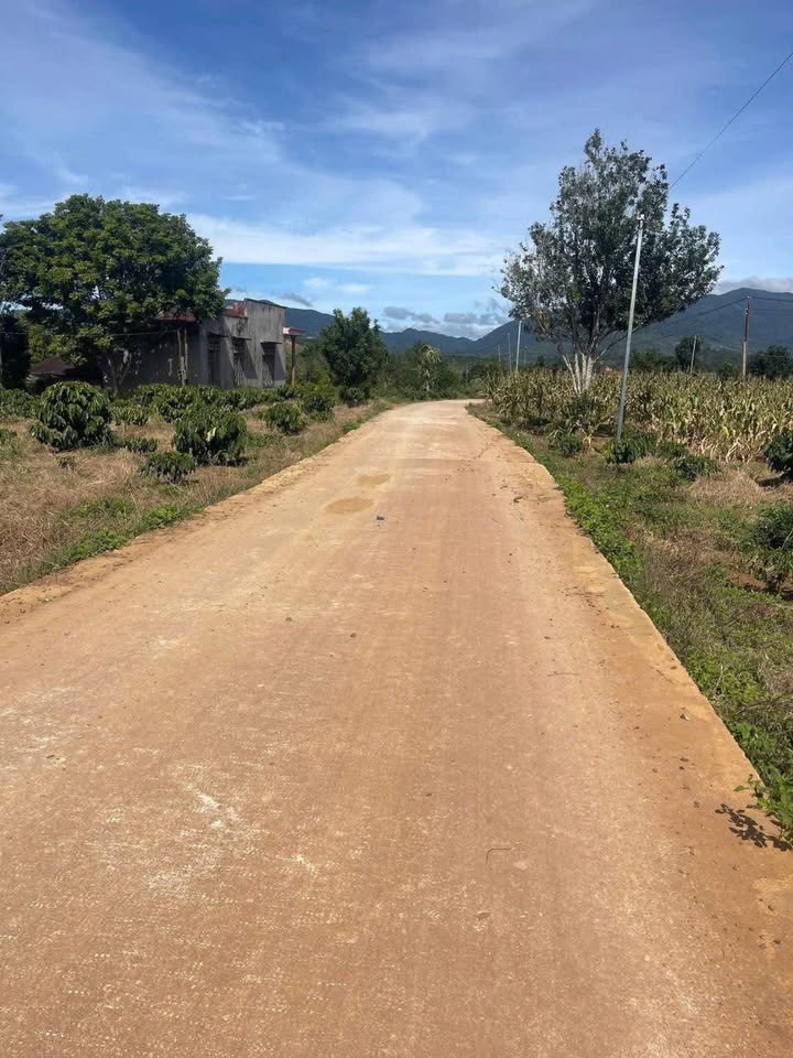 Đất nền 1,2 ha Tân Thanh giá chỉ 3,15 tỷ - Đầu tư sinh lời ngay!