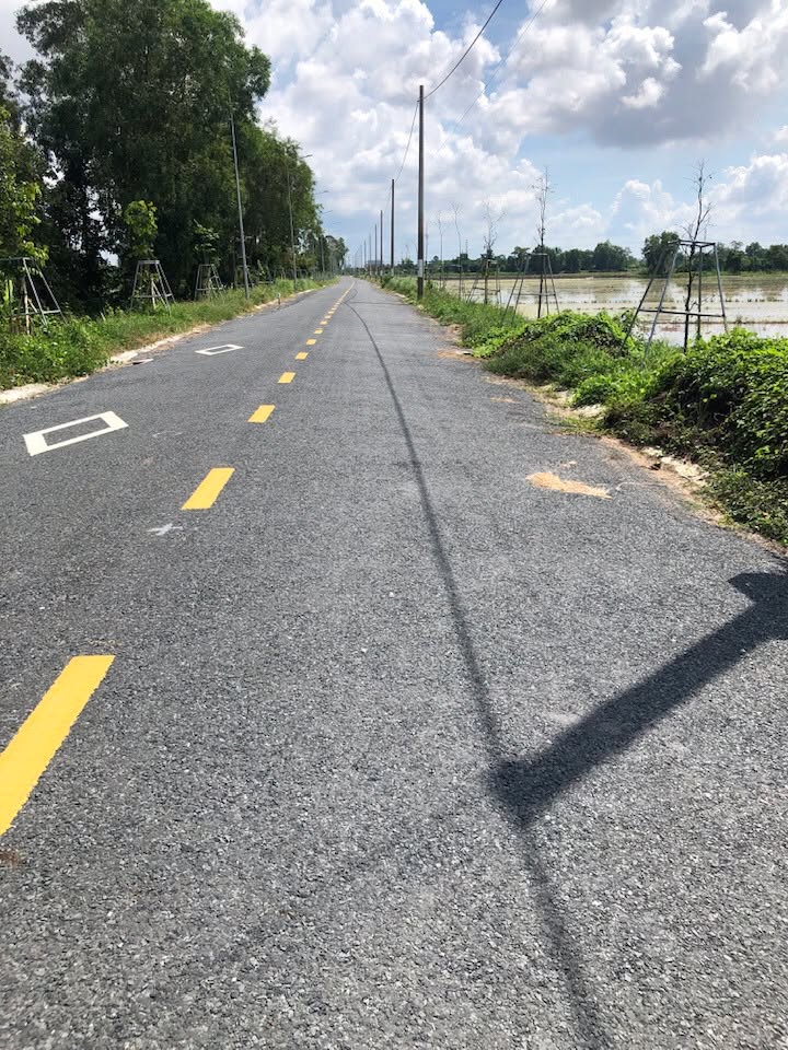 Đất lúa mặt tiền đường Đào Duy Từ, Sa Đéc 5000m² - Giá tốt, thương lượng ngay!