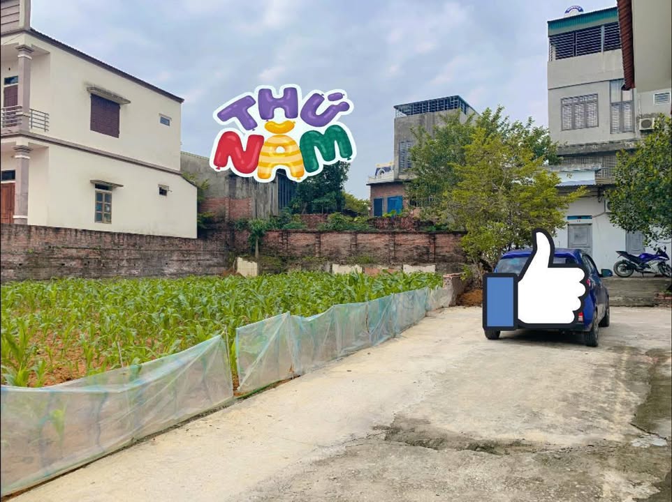 Đất nền Thanh Đình Việt Trì 450m² giá chỉ vài triệu/m² - Cơ hội đầu tư hấp dẫn!