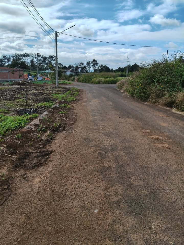 Đất Tái Định Cư Trần Hưng Đạo Đắk Mil 125m² giá 1.4 tỷ - Hướng Tây, Đường N1