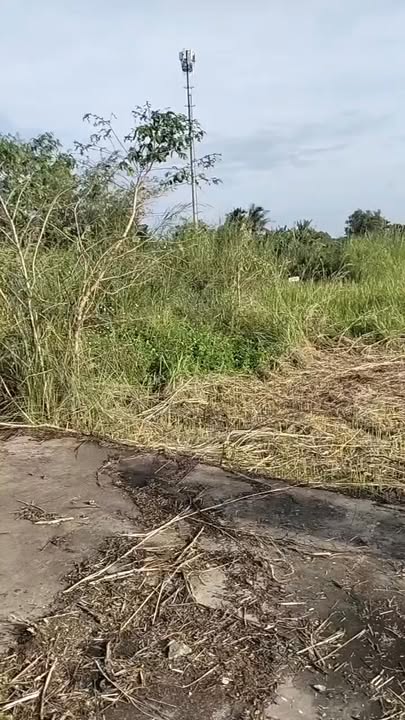 Đất nền Bình Mỹ Củ Chi 100m² giá 1.2 tỷ - Cơ hội đầu tư tuyệt vời!