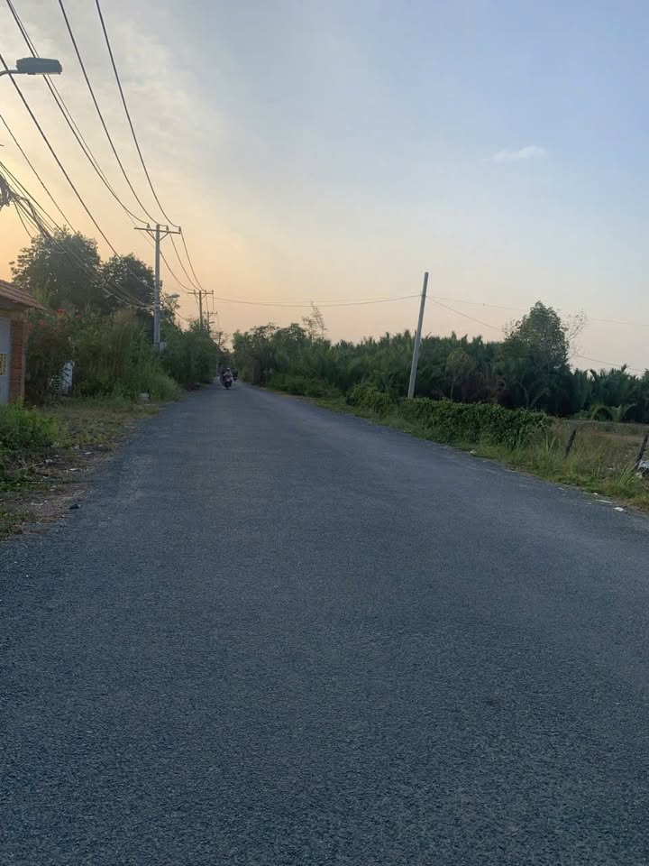 Đất Nông Nghiệp Đường Liên ấp 3-4, Hiệp Phước, Nhà Bè 6000m² – Quy hoạch KDC!