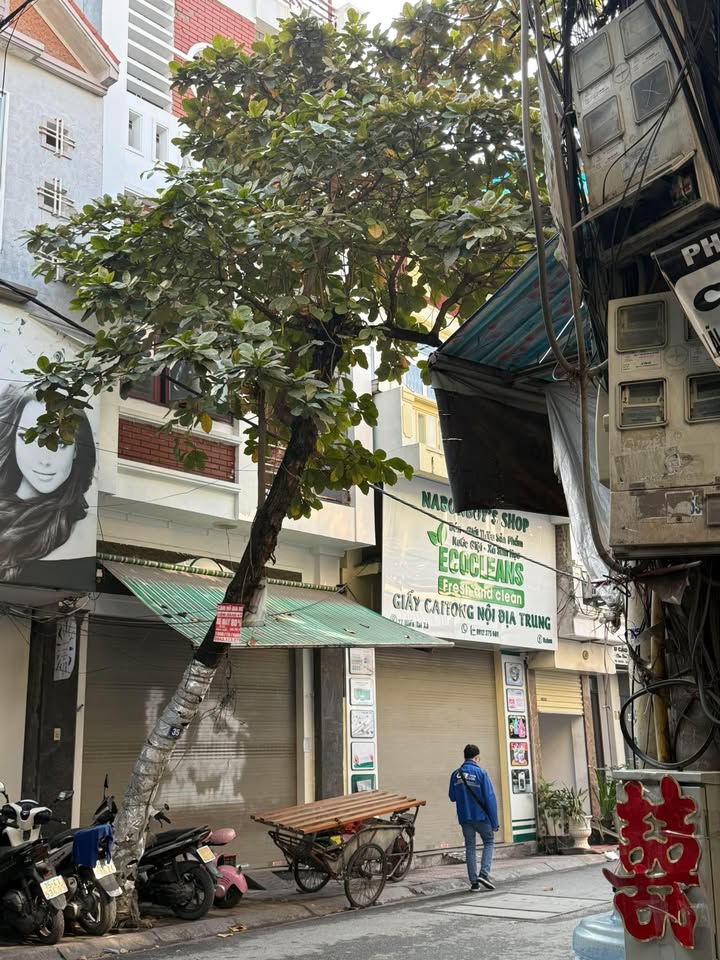 Nhà 4 tầng Miếu Hai Xã, Lê Chân, Hải Phòng 47m² giá 6.5 tỷ - Mặt đường kinh doanh sầm uất!