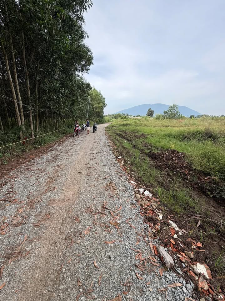 Đất nền 1 sào Xuân Trường 8000m² giá 300 triệu - Cơ hội đầu tư hấp dẫn!