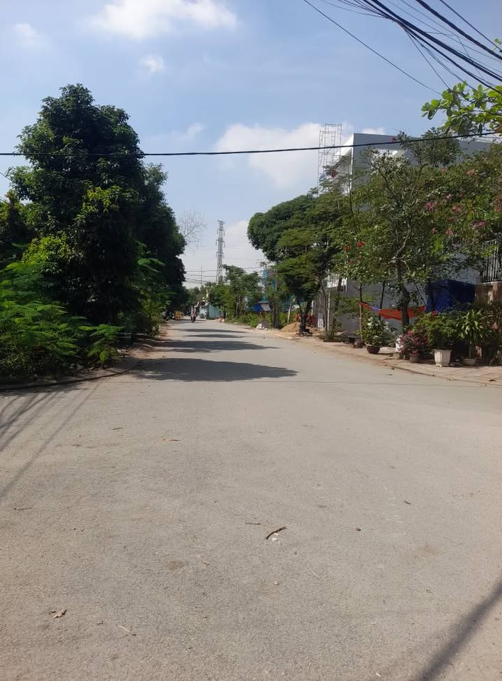 Đất vườn Phú Hữu Q9 1968m² giá chỉ 3 tỷ - Cơ hội đầu tư hiếm có!