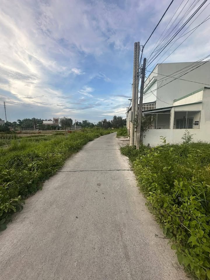 Đất thổ cư 342m² tại Hẻm 20 Đường Đặng Văn Truyện, Tân An - Giá 2.1 tỷ, đầu tư sinh lời!