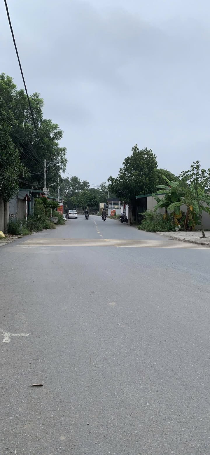 Đất Nền Kinh Doanh Nghiêm Xuyên 375m² giá 6 tỷ - Vị trí đắc địa, tiềm năng sinh lời cao!