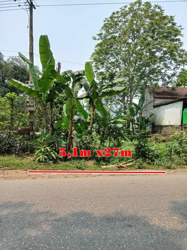 Đất nền mặt tiền Quốc lộ 217, Cẩm Tân, 137m² - Giá rẻ nhất thị trường!