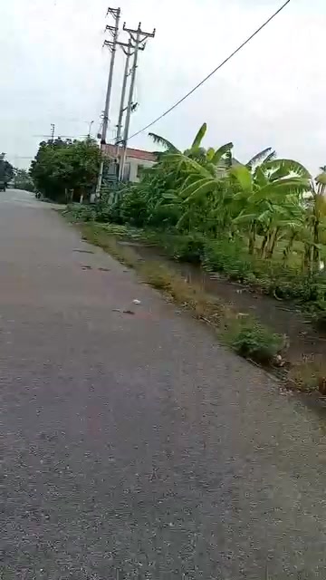 Đất nền Đông Hòa, Đông Sơn 183m² giá chỉ 1.5 tỷ - Đầu tư sinh lời hấp dẫn!