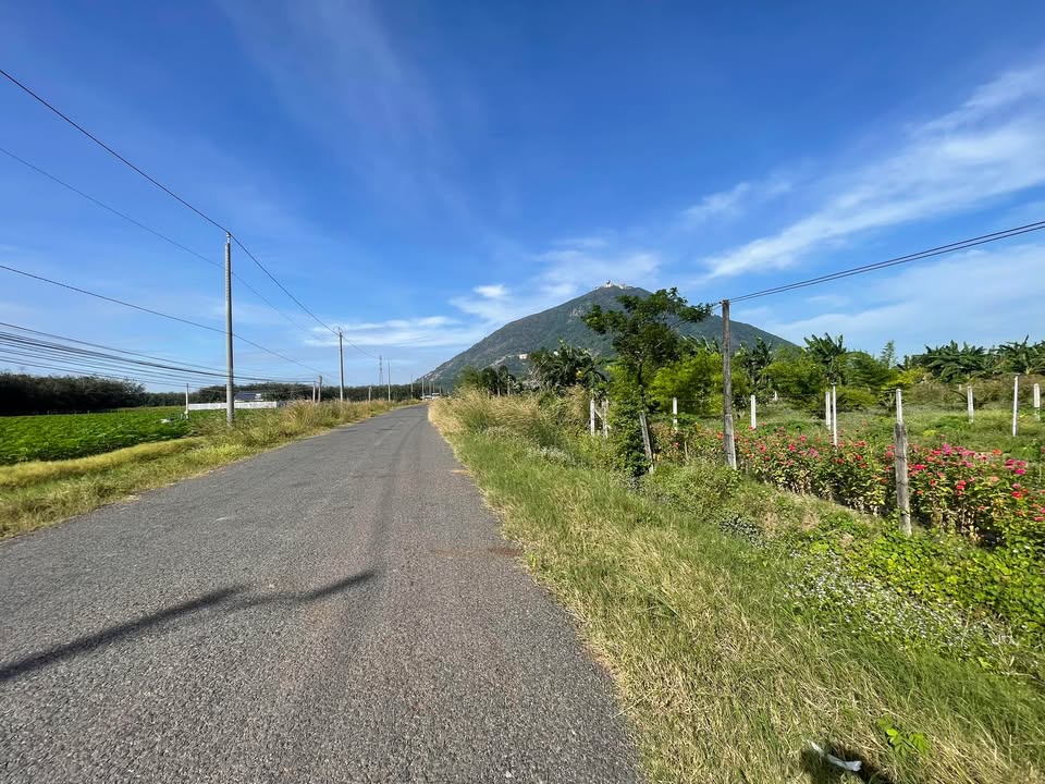 Đất nền Suối Đá, Dương Minh Châu 1230m² giá 1.23 tỷ - Tiềm năng nghỉ dưỡng lý tưởng!