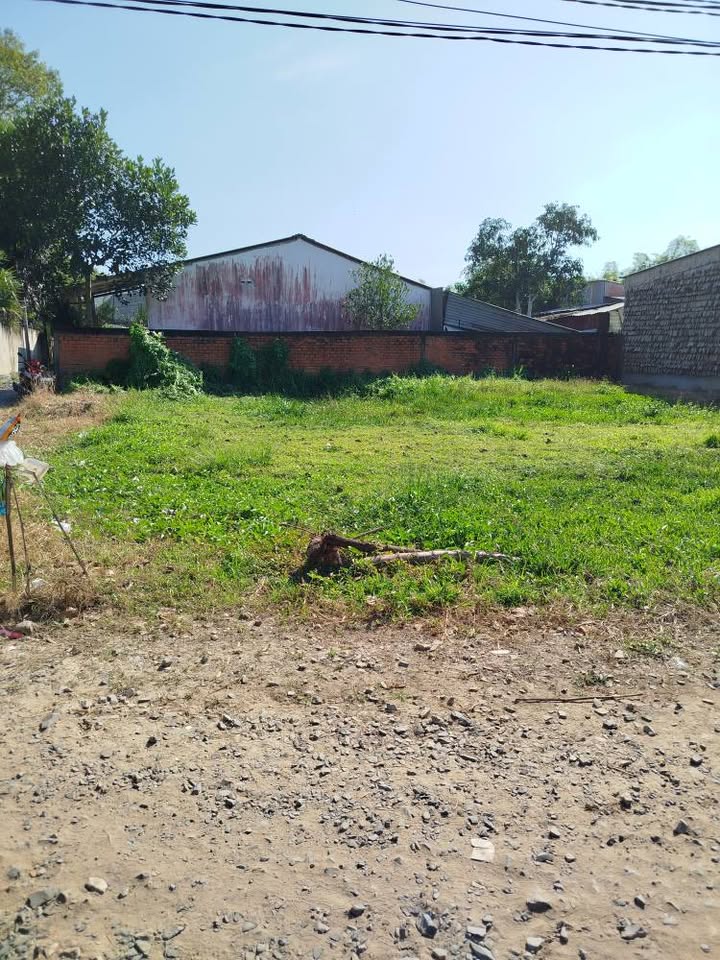 Đất thổ cư mặt tiền đường đá mi tại Lương Hoà, Châu Thành - Chỉ 500 triệu!