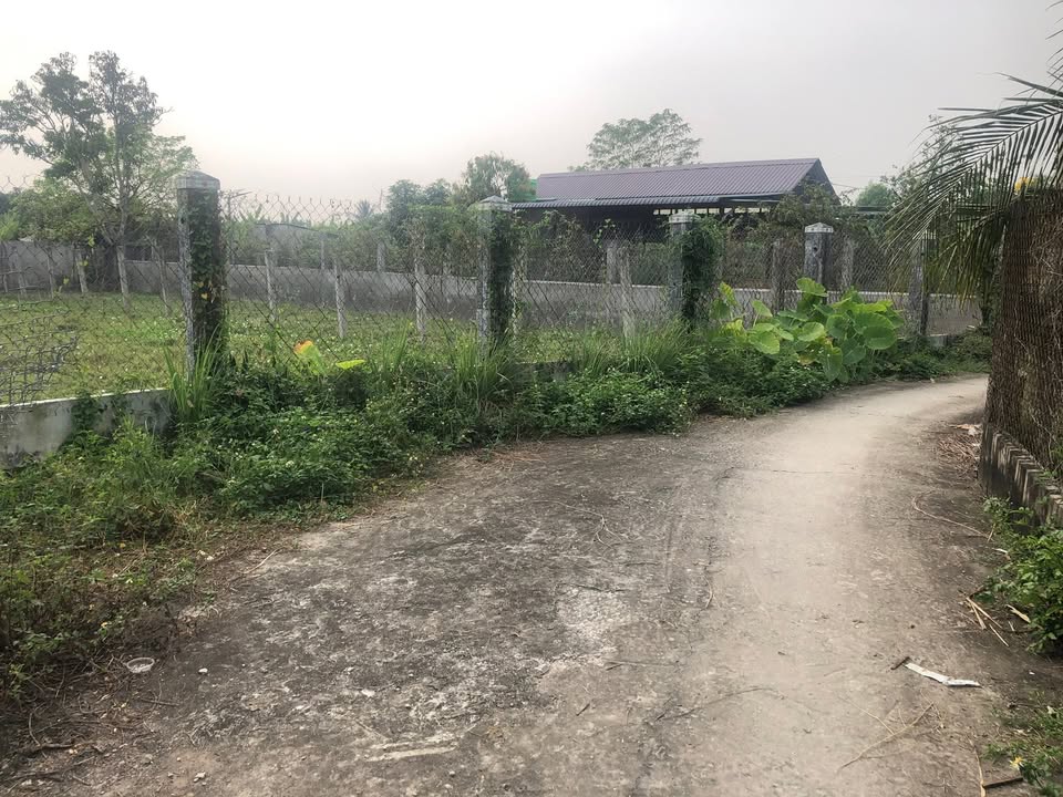 Đất nền An Vĩnh Ngãi, Tân An 259.3m² giá 1 tỷ - Sổ đỏ chính chủ, ô tô vào tận nơi!