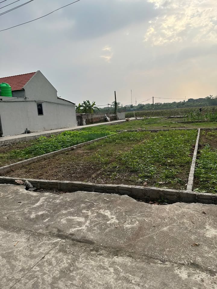 Đất nền Quang Lãng 80m² giá 2 tỷ - Vị trí kinh doanh đỉnh cao!