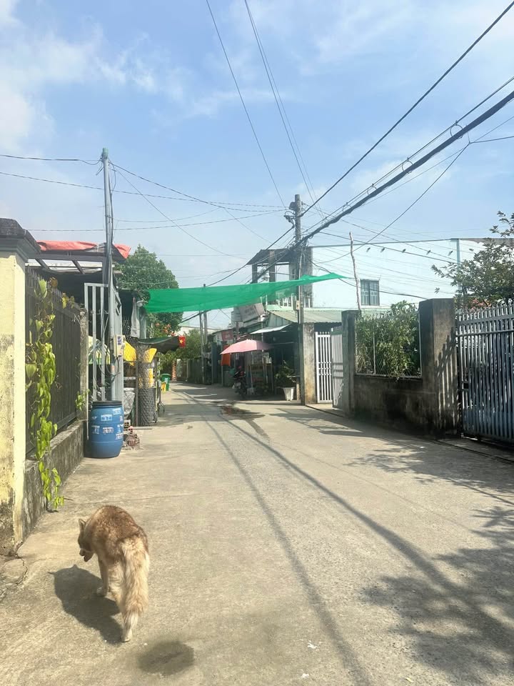 Lô đất góc 2 mặt tiền KDC An Hưng Phát, Long Bình Tân, 100m² - Vị trí kinh doanh lý tưởng!