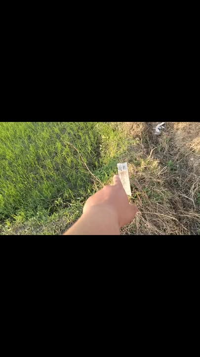 Đất vườn 3200m² tại Bến Cầu, Tây Ninh - Đầu tư sinh lời ngay!