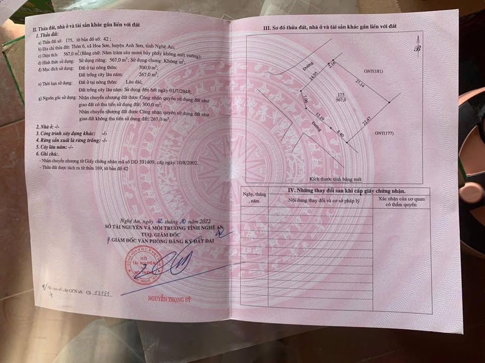 Đất nền Hoa Sơn, Anh Sơn 594m² - Bám 2 mặt tiền tuyệt đẹp, tách lô dễ dàng!