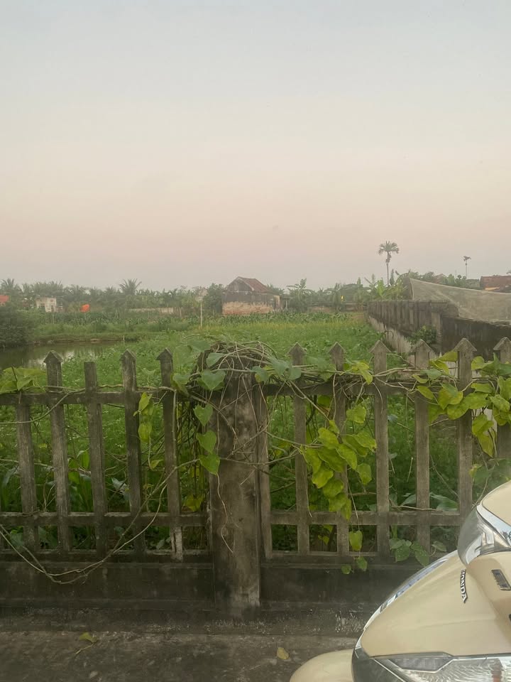 Đất thổ cư 459m² tại xã Phúc Thắng, Nghĩa Hưng - Giá chỉ 4.869 tỷ!