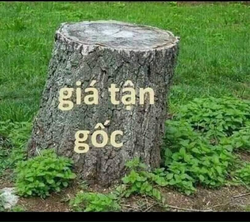 Đất nền chính chủ tại xã Hoạt Giang, huyện Hà Trung, Thanh Hóa 150m² - Giá tốt, vị trí đắc địa!