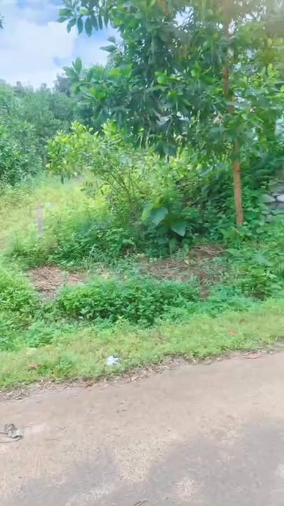 Đất nền Mỹ Tân Ngọc Lặc 150m² giá thỏa thuận - Tiềm năng đầu tư lớn!