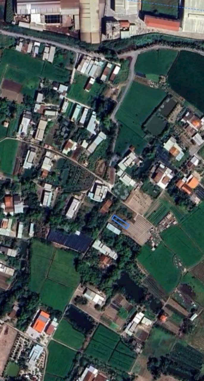 Đất nền ONT Phước Lâm, Cần Giuộc 100m² giá chỉ 580 triệu - Cơ hội đầu tư tuyệt vời!